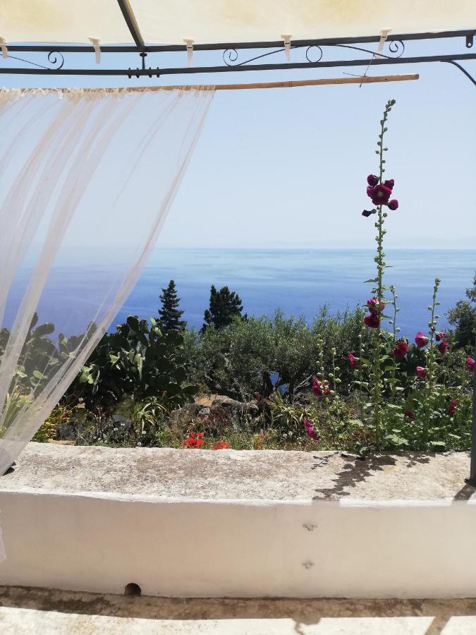 Bed and Breakfast Alicudi Giardino Dei Carrubi- Al Gradino 365 Exteriér fotografie